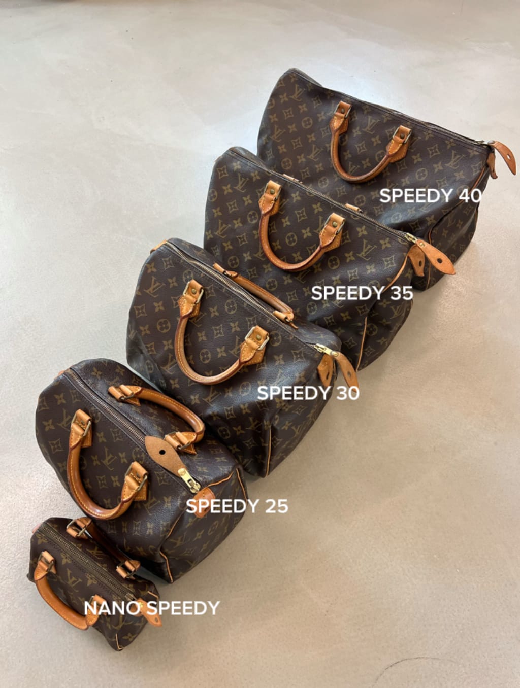 Louis Vuitton Speedy 30