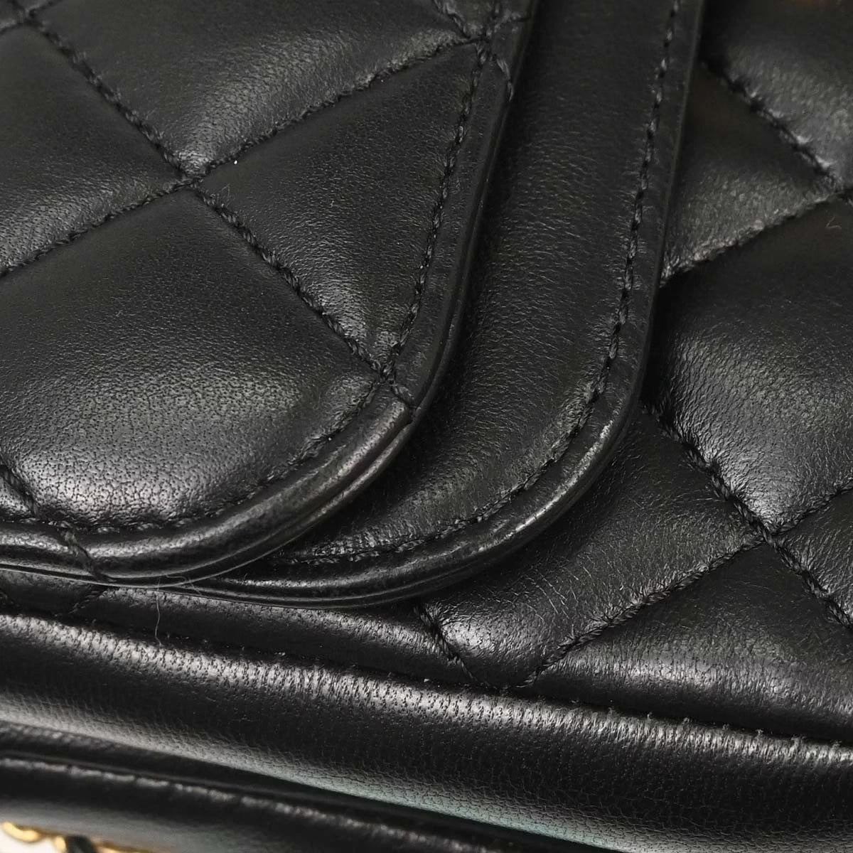 Chanel CC Chic Double Flap Bag