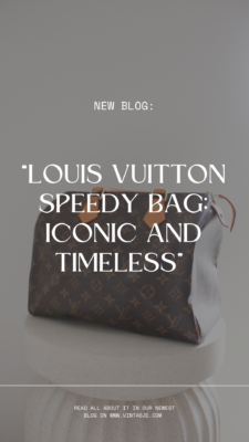 Louis Vuitton Speedy bag