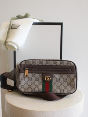 Gucci Ophidia belt bag