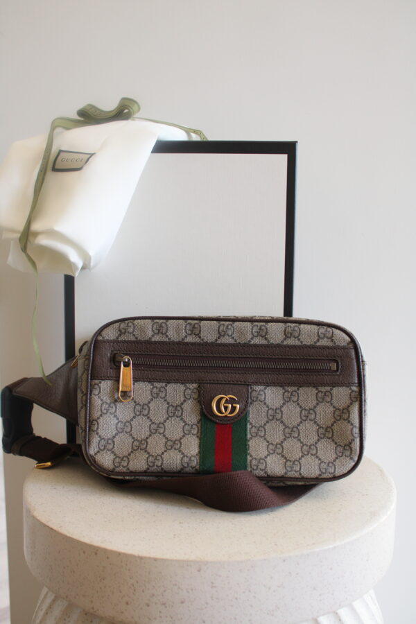 Gucci Ophidia belt bag