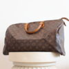Louis Vuitton Speedy 40