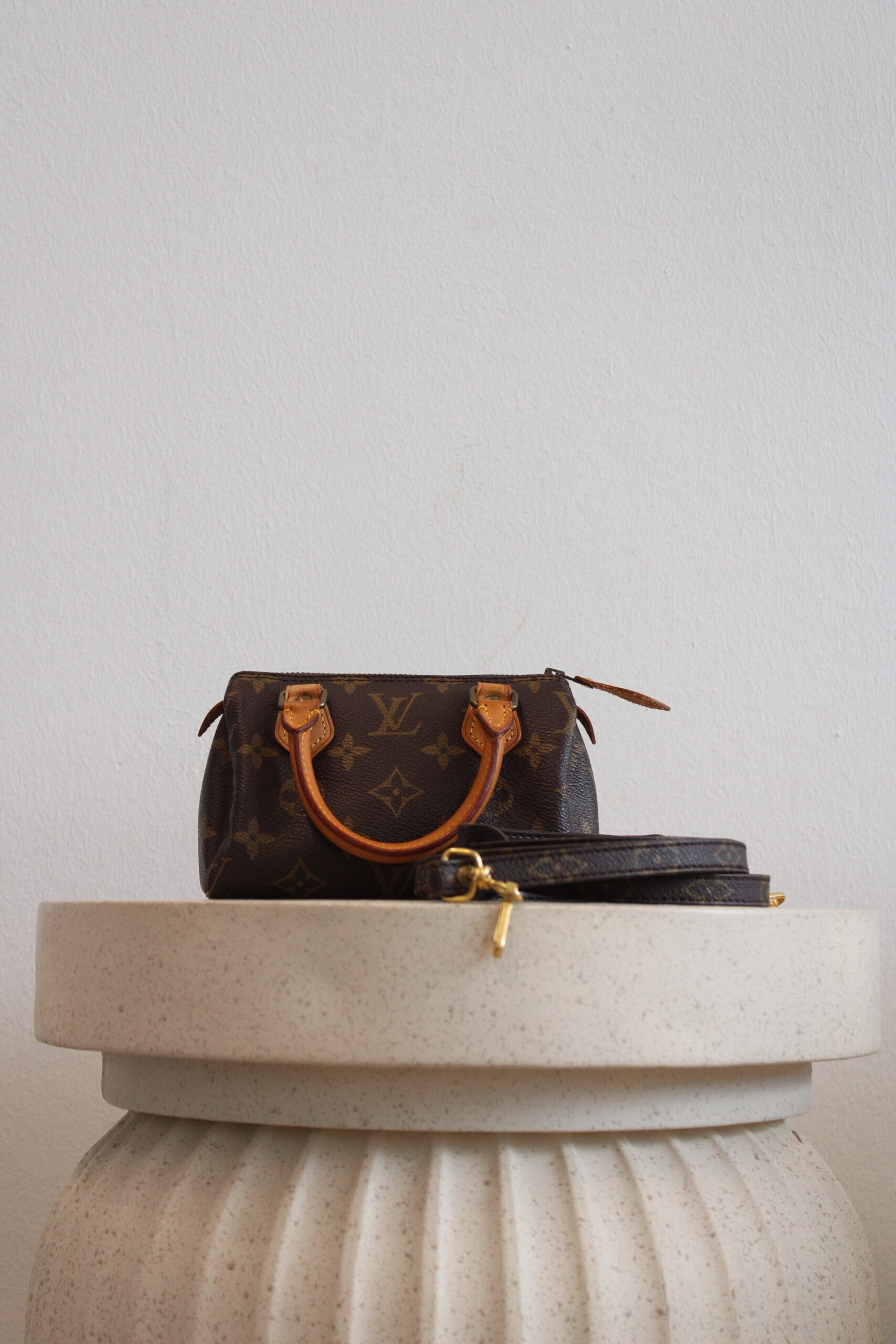 Louis Vuitton Nano Speedy