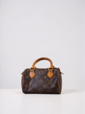 Louis Vuitton Nano Speedy
