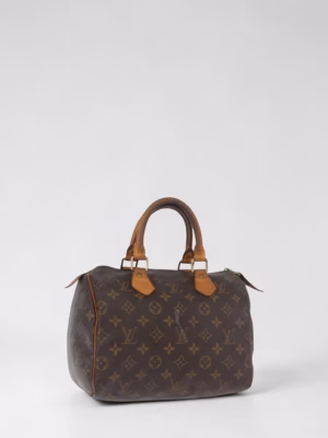 Louis Vuitton Speedy 25