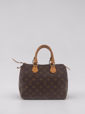 Louis Vuitton Speedy 25
