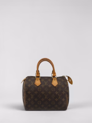 Louis Vuitton Speedy 25