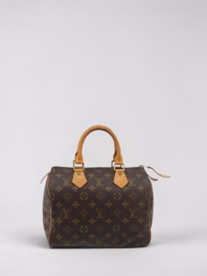 Louis Vuitton Speedy 25