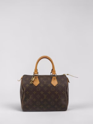 Louis Vuitton Speedy 25
