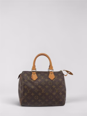 Louis Vuitton Speedy 25