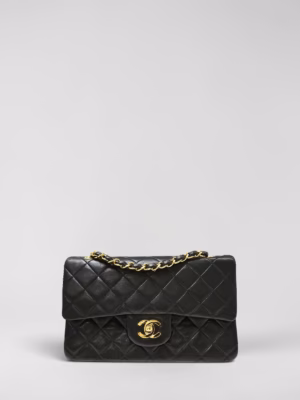 Chanel Double Flap Bag Small