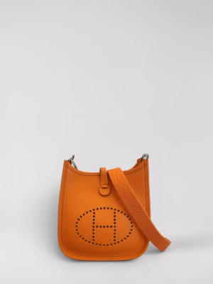 Hermes Evelyne